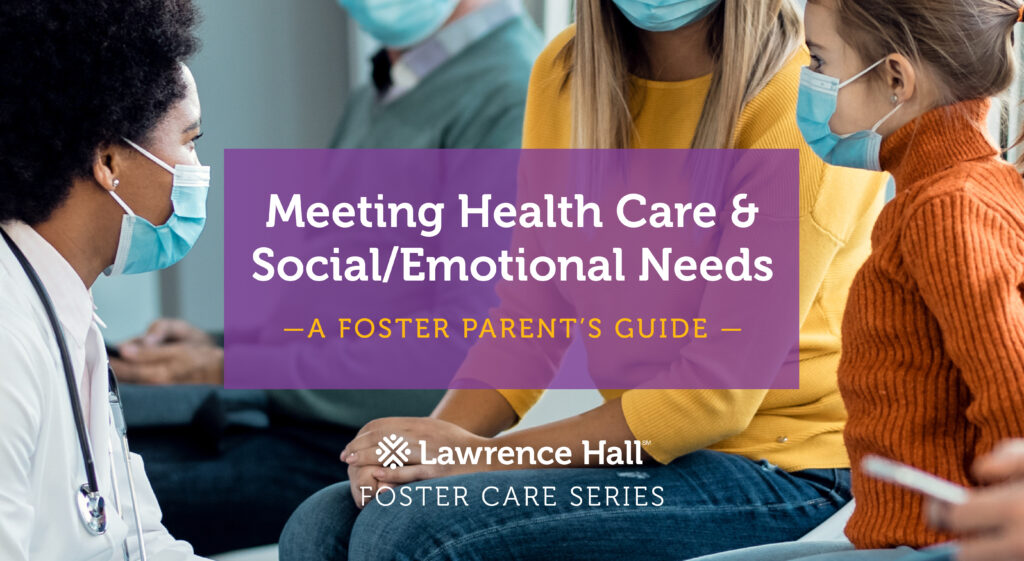 Meeting Health Care and Social/Emotional Needs of Foster Children
